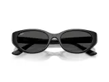 Ray-Ban RB4457D-6772/87(55)