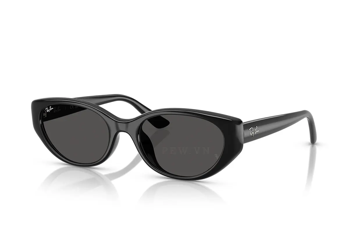 Ray-Ban RB4457D-6772/87(55)