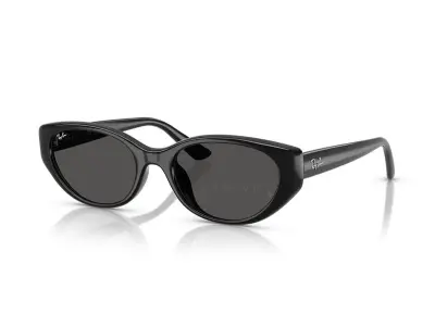 Ray-Ban RB4457D-6677/87(55)