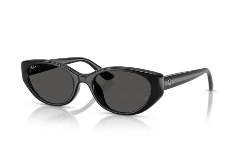 Ray-Ban RB4457D-6772/87(55)