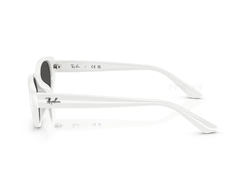 Ray-Ban RB4457D-6772/87(55)