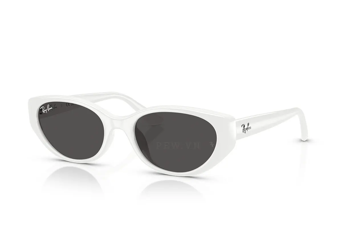 Ray-Ban RB4457D-6772/87(55)