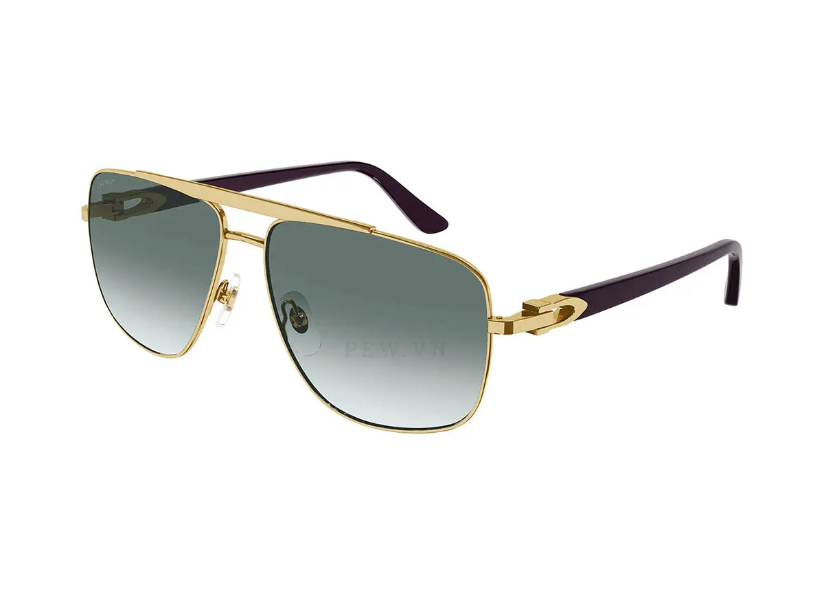 Cartier CT0365S 003 (67)