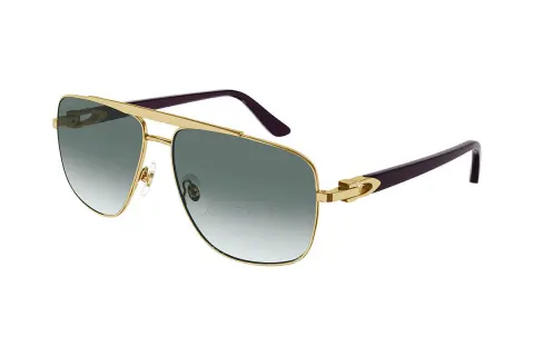 Cartier CT0365S 003 (67)