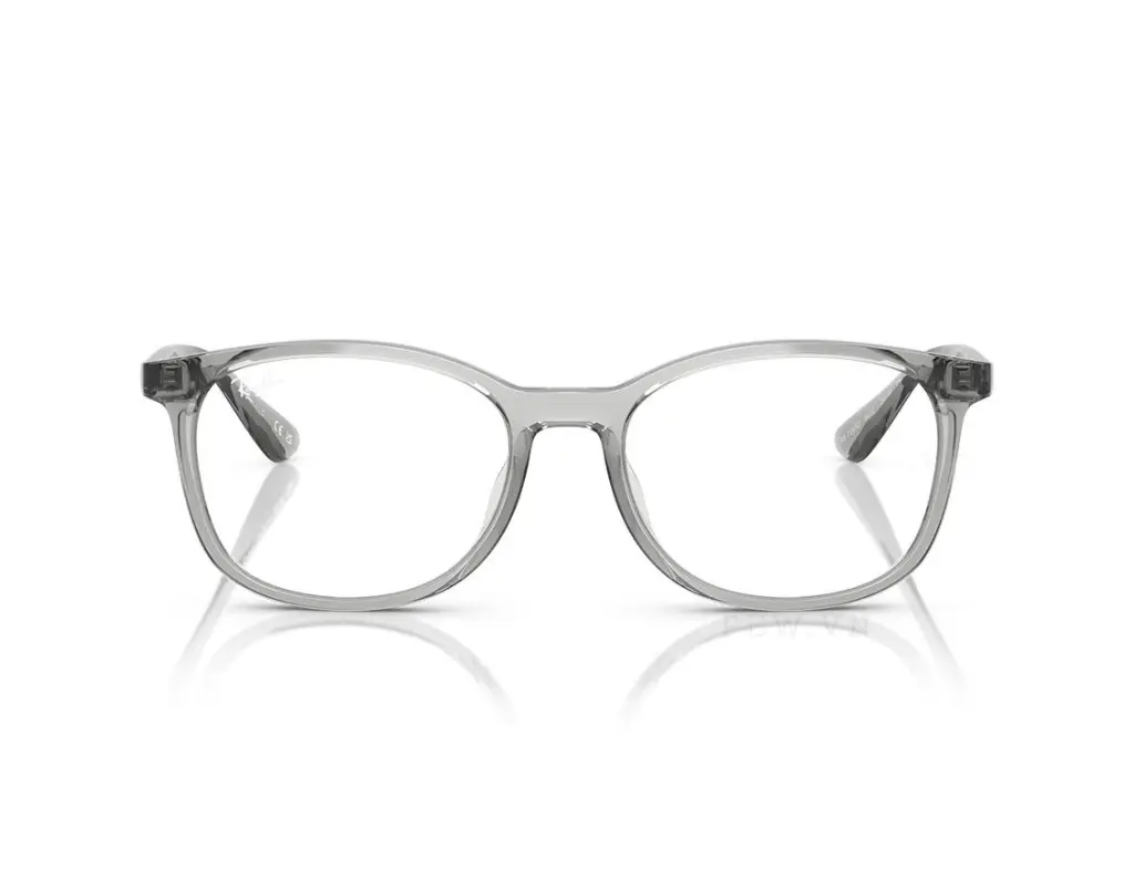 Ray-Ban RX7093D-8012(54)