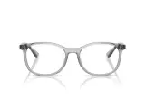 Ray-Ban RX7093D-8012(54)