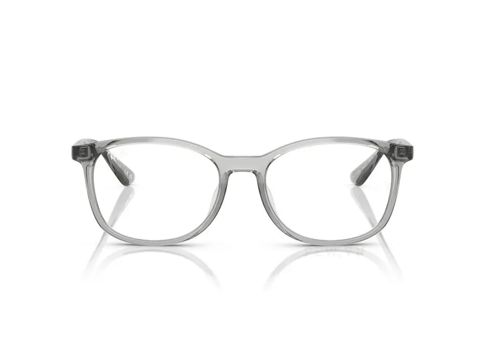 Ray-Ban RX7093D-8012(54)