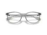 Ray-Ban RX7093D-8012(54)