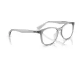 Ray-Ban RX7093D-8012(54)