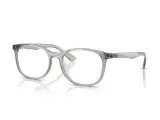 Ray-Ban RX7093D-8012(54)