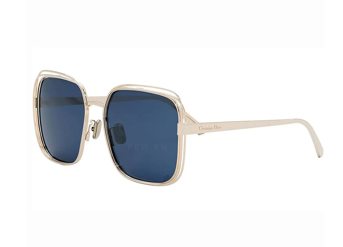 Dior FILDIOR S1U B0B0 (58)