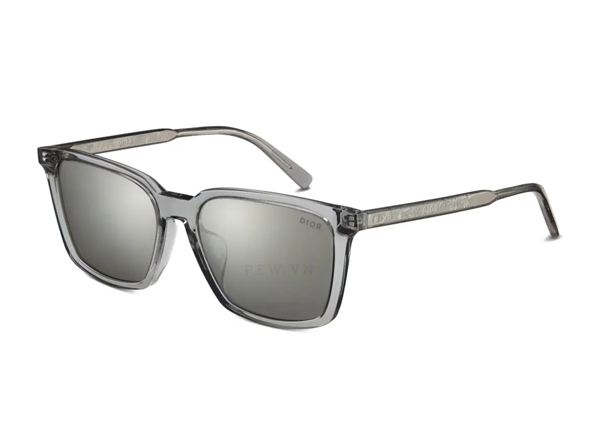 Dior INDIOR S4F 45A7 (56)