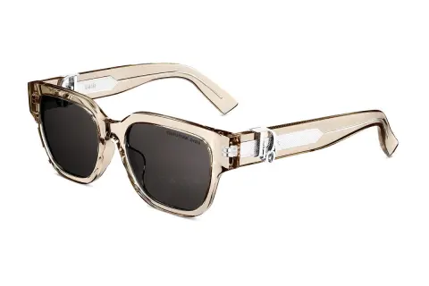 Dior Oblique S1F 78A0 (54)