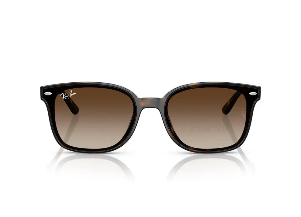 Ray-Ban RB4461D-710/13(64)