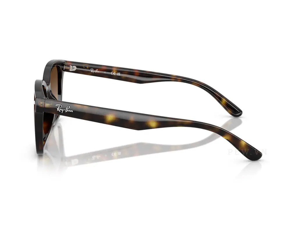 Ray-Ban RB4461D-710/13(64)
