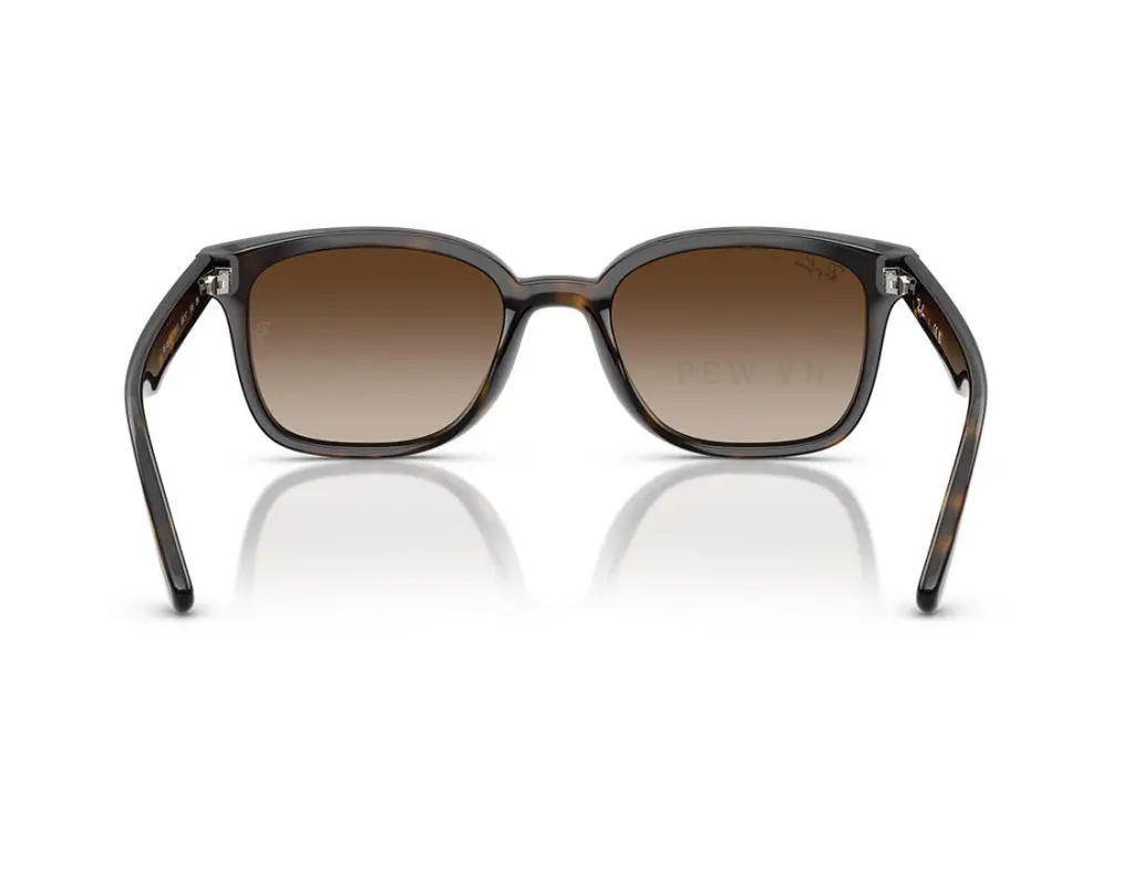 Ray-Ban RB4461D-710/13(64)