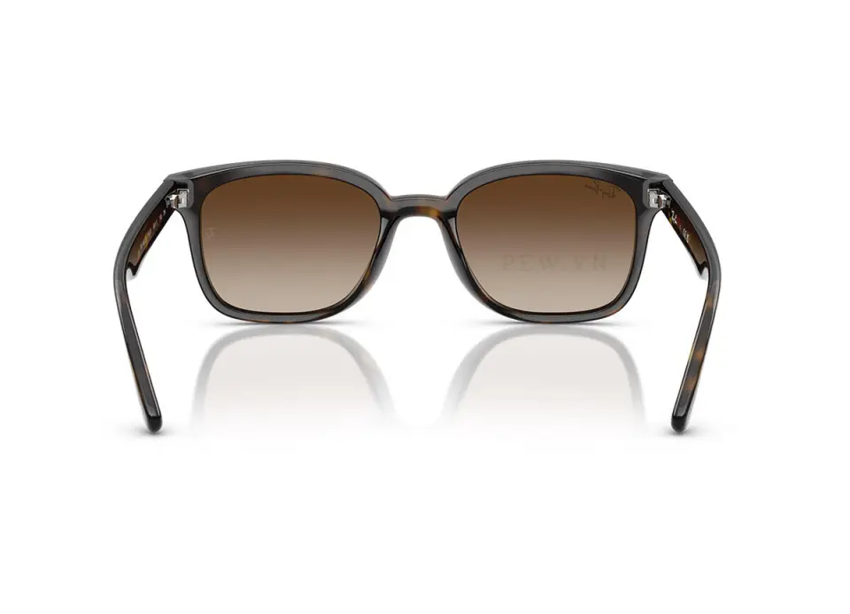 Ray-Ban RB4461D-710/13(64)