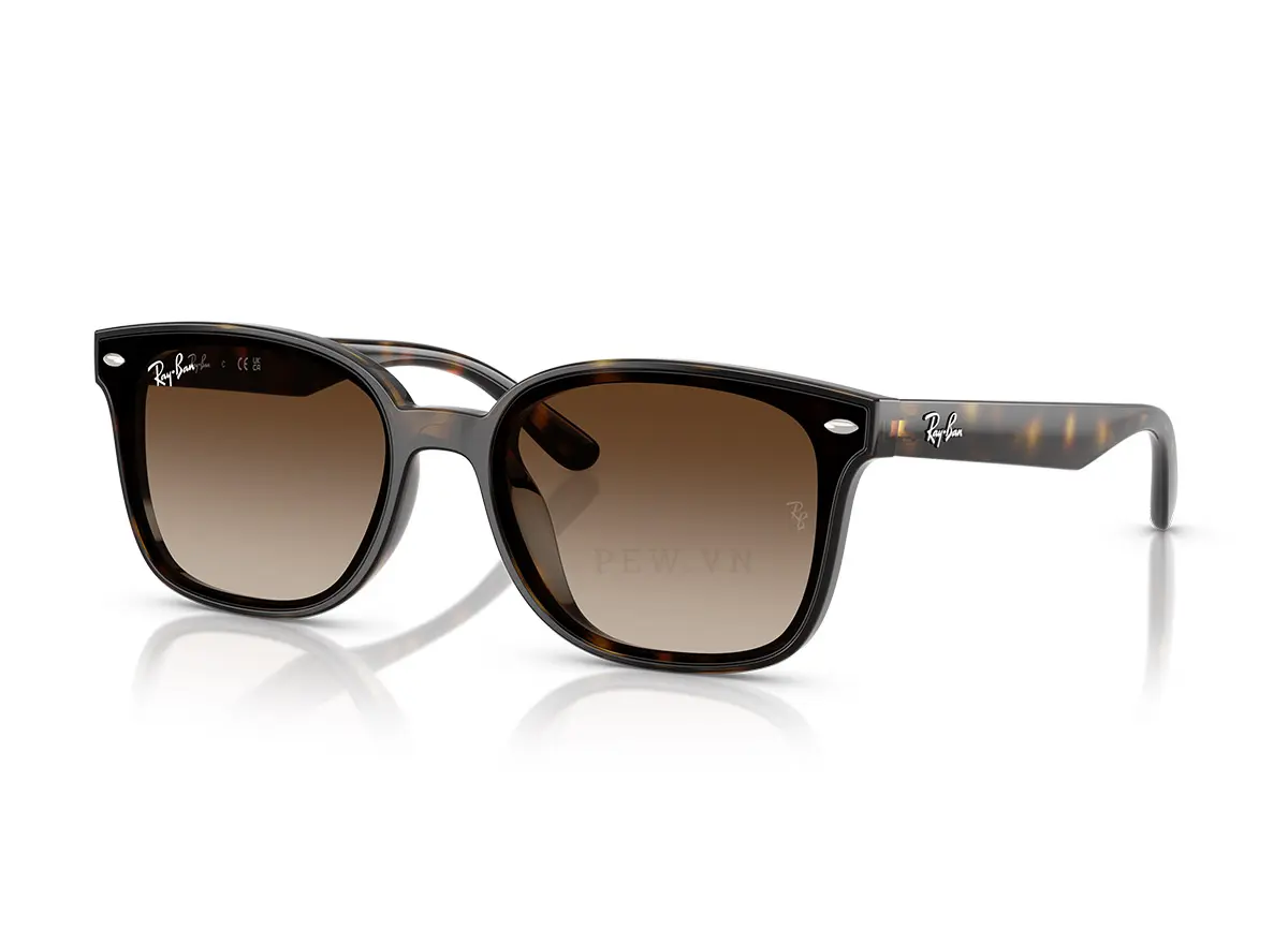 Ray-Ban RB4461D-710/13(64)