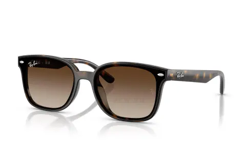 Ray-Ban RB4461D-710/13(64)