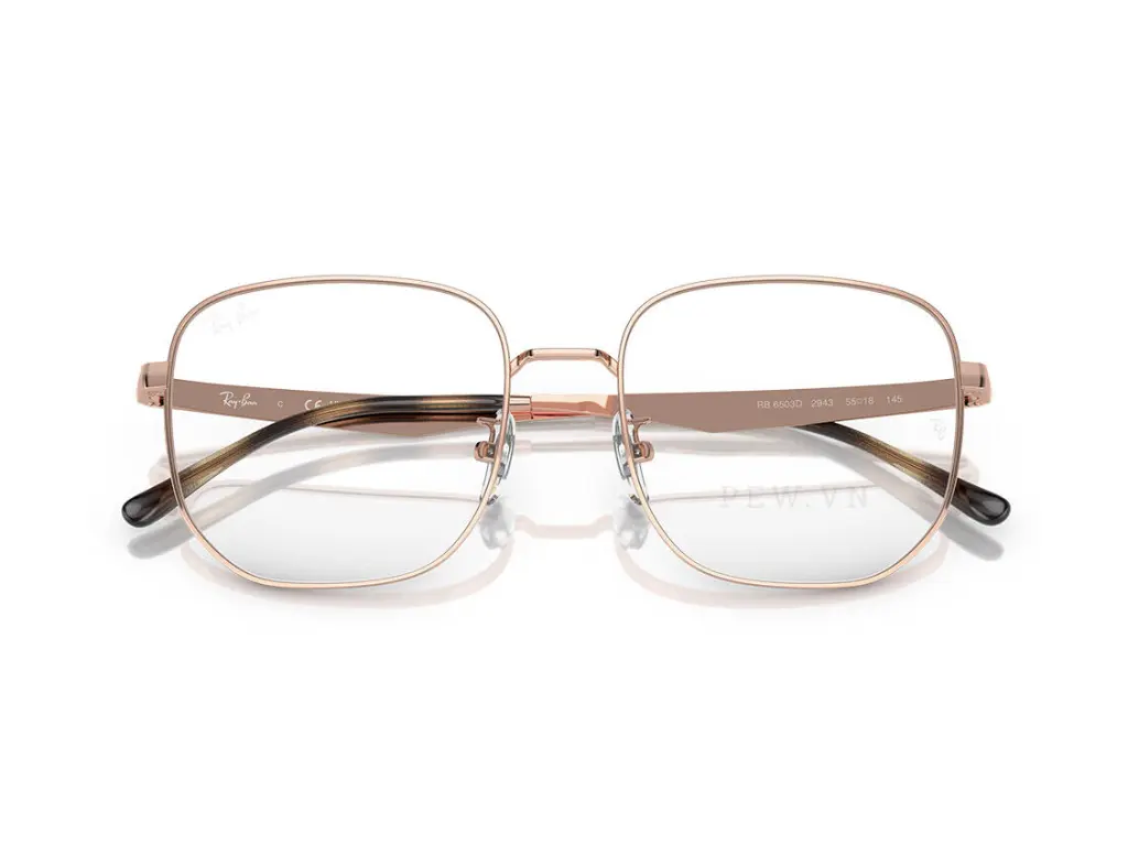 Ray-Ban RX6503D-2943(55)