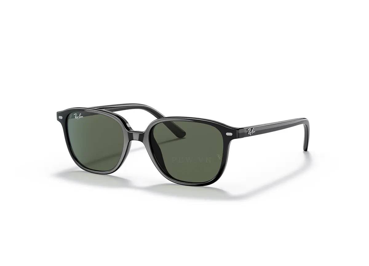 Ray-Ban Leonard Kids RJ9093S-100/71(45)