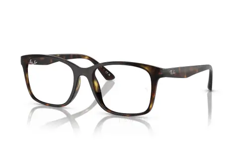 Ray-Ban RX7059D-2012(55)