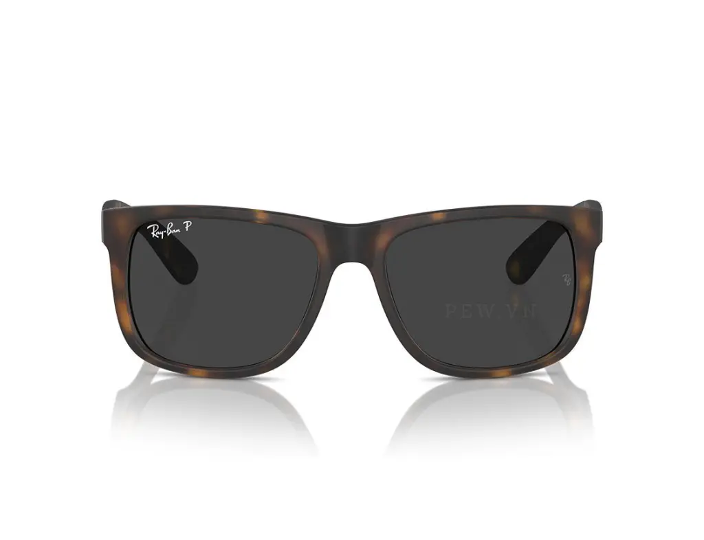 Ray-Ban Justin RB4165F-865/87(55)