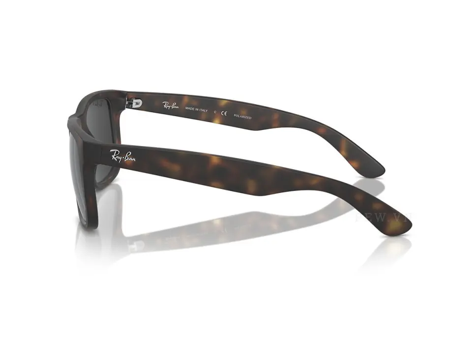Ray-Ban Justin RB4165F-865/87(55)