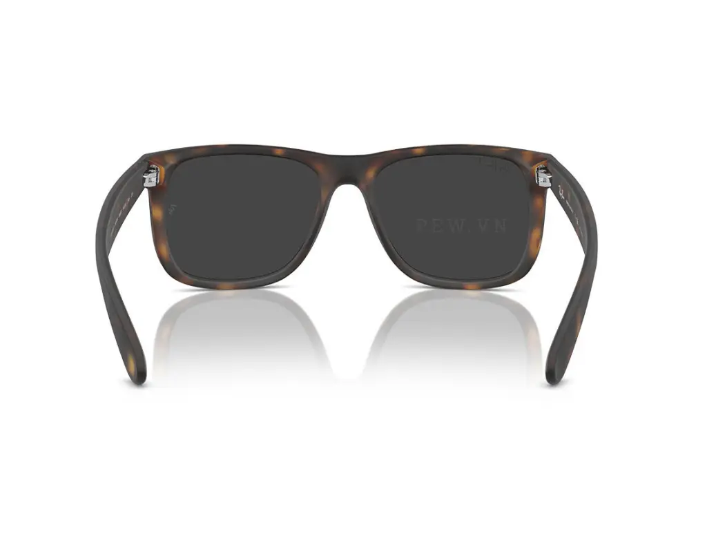Ray-Ban Justin RB4165F-865/87(55)