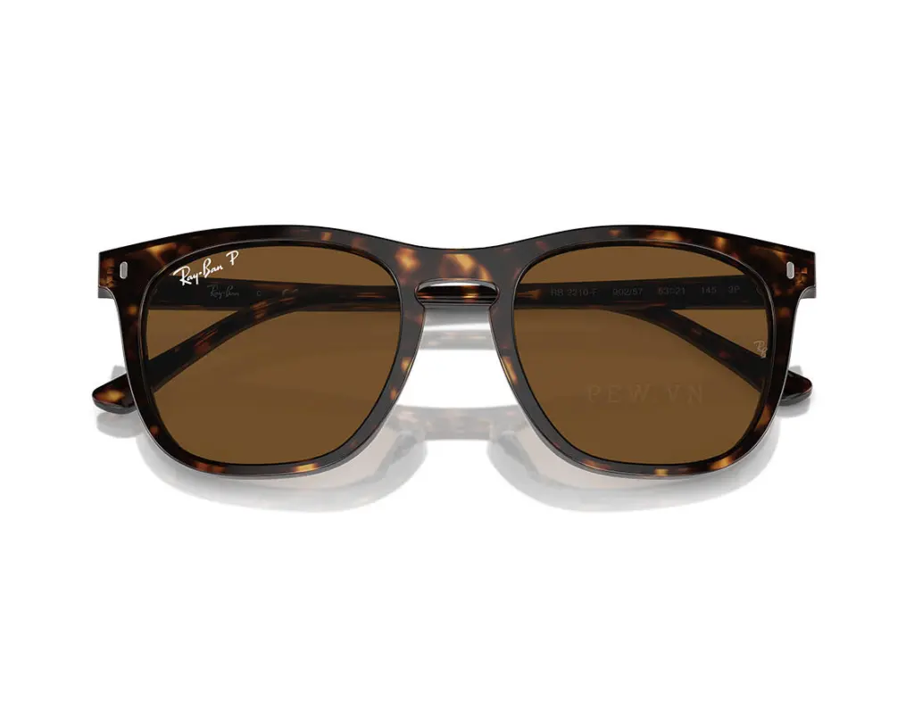 Ray-Ban RB2210F-902/57(53)