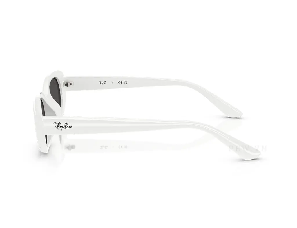 Ray-Ban RB4441D-6772/87(53)