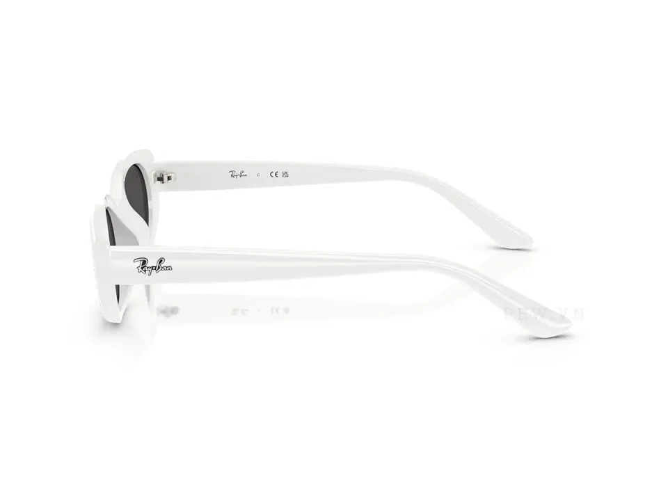 Ray-Ban RB4441D-6772/87(53)