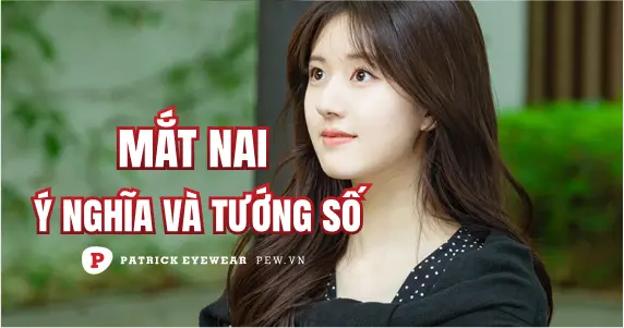 Mắt nai có ý nghĩa gì? Đặc điểm, tướng số mắt nai