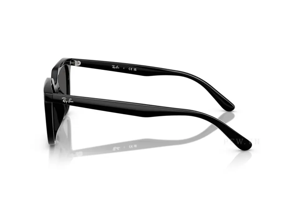 Ray-Ban RB4439D-901/87(54)