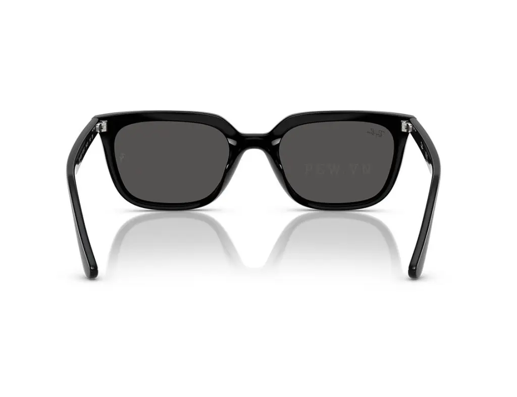 Ray-Ban RB4439D-901/87(54)