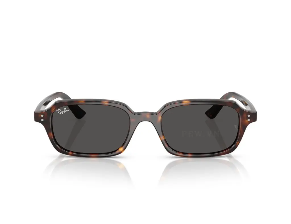 Ray-Ban Zuri RB4455F-1359/87(51)