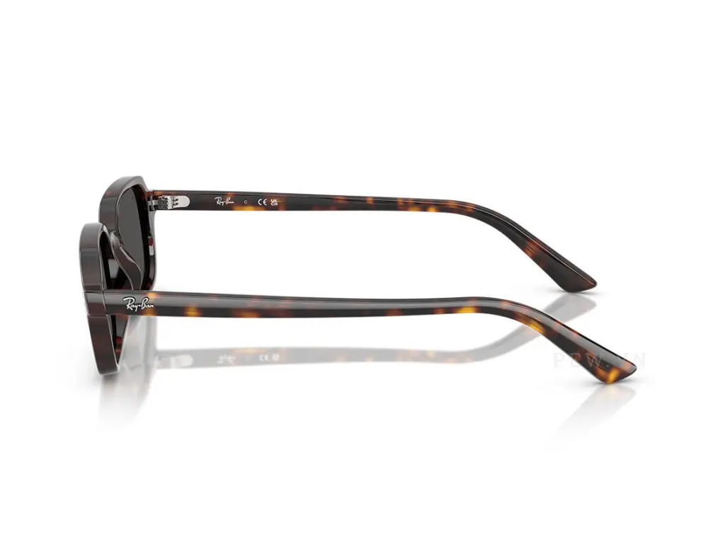 Ray-Ban Zuri RB4455F-1359/87(51)