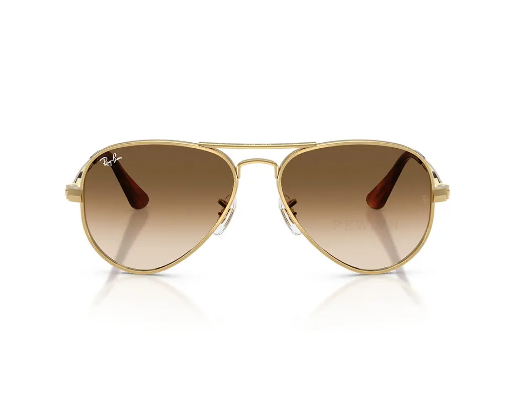 Ray-Ban Aviator Max RB3925-001/51(62)