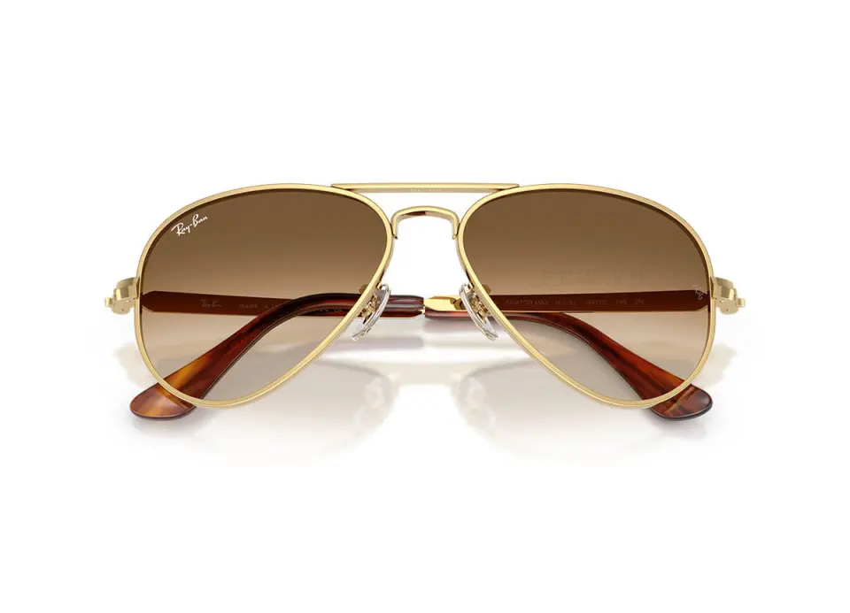 Ray-Ban Aviator Max RB3925-001/51(62)