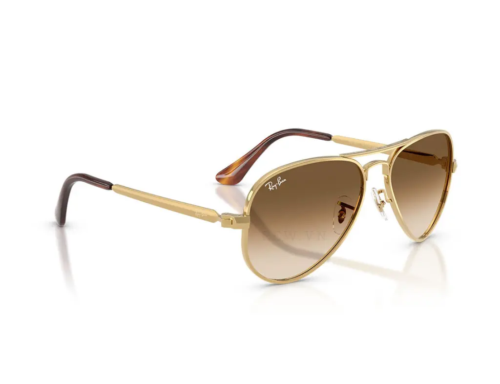 Ray-Ban Aviator Max RB3925-001/51(62)