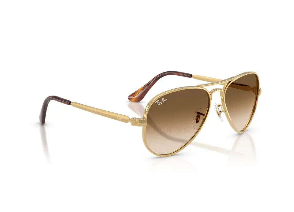 Ray-Ban Aviator Max RB3925-001/51(62)