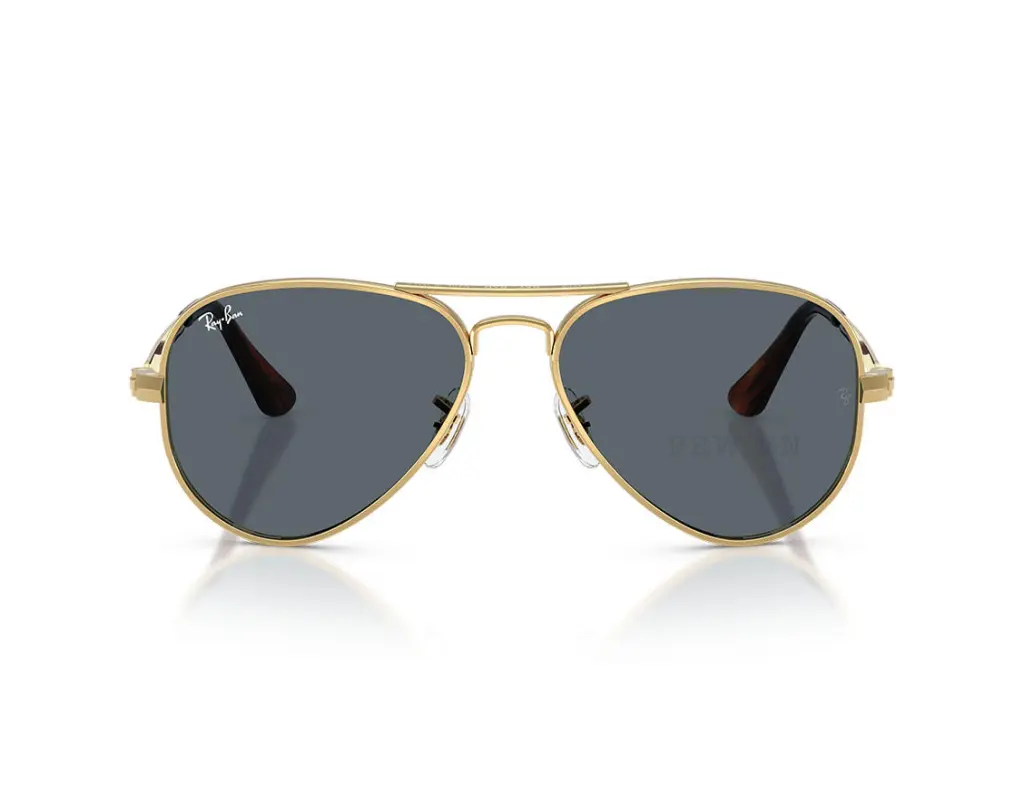 Ray-Ban Aviator Max RB3925-001/R5(58)