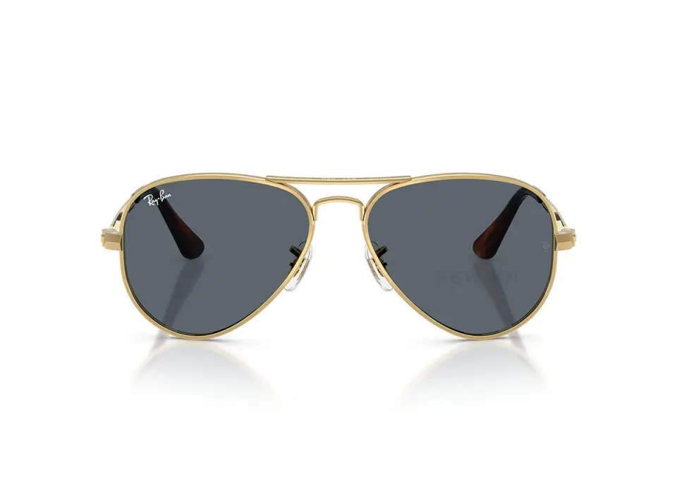 Ray-Ban Aviator Max RB3925-001/R5(58)