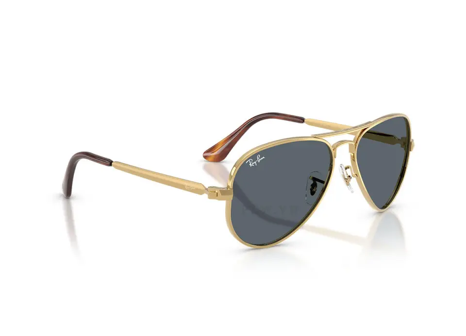 Ray-Ban Aviator Max RB3925-001/R5(58)