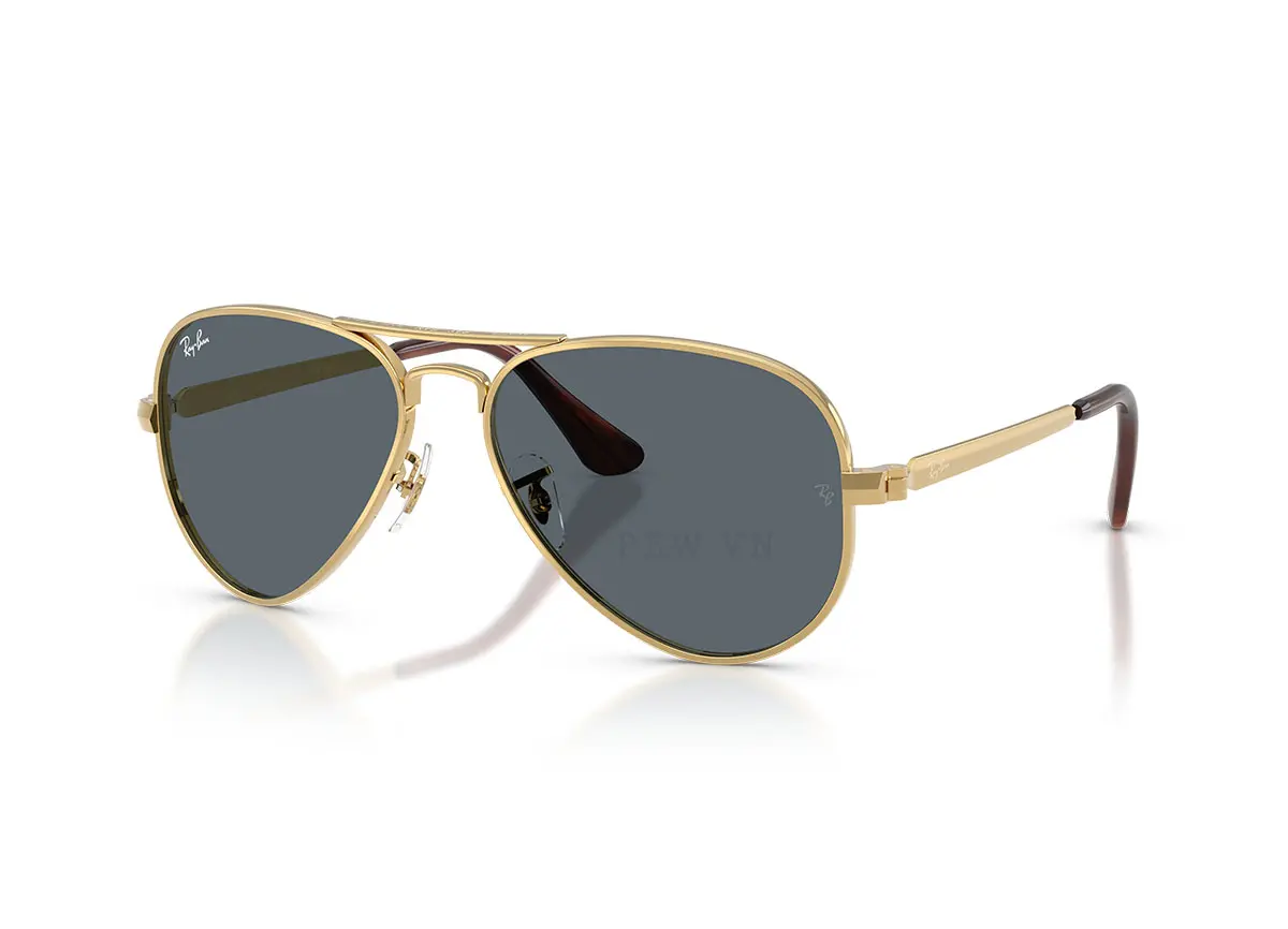 Ray-Ban Aviator Max RB3925-001/R5(58)