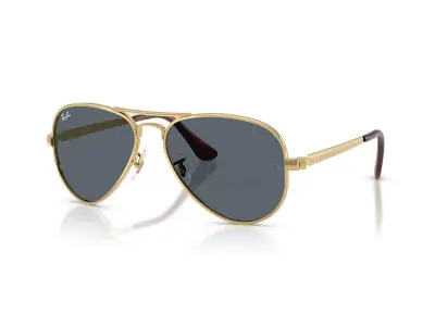 Kính mát Ray-Ban Aviator Max RB3925-001/R5(58)