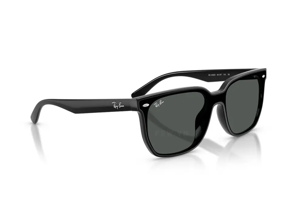 Ray-Ban RB4466D-601/87(47)