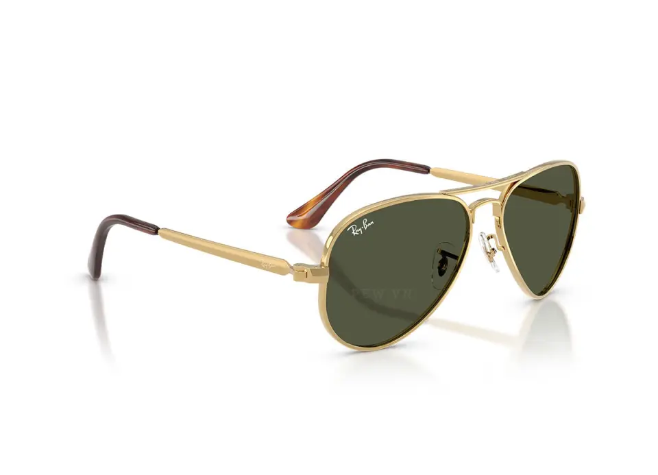 Ray-Ban Aviator Max RB3925-001/31(62)