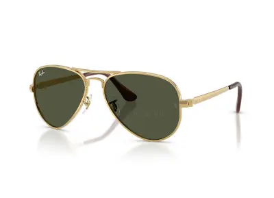 Kính mát Ray-Ban Aviator Max RB3925-001/31(58)