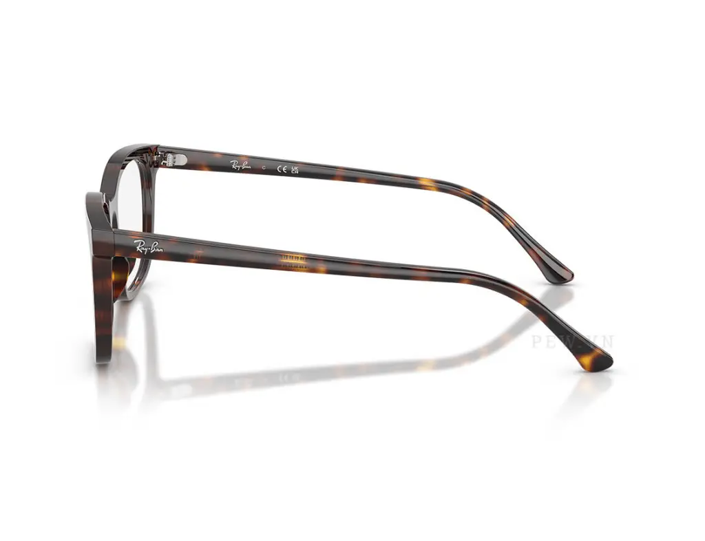 Ray-Ban RX5446F-2012(53)